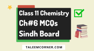 Class 11 Chemistry Chapter 6 MCQs with Answers