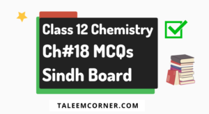 12th Chemistry Chapter 18 MCQs